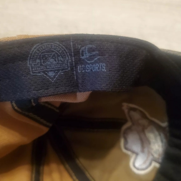 Quad Cities River Bandits Cap MiLB - Picture 6 of 8